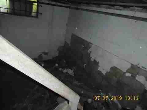 16737 Dolphin (37)_m.jpg